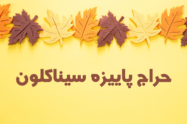 جشنواره تخفیفات پاییزه سیناکلون